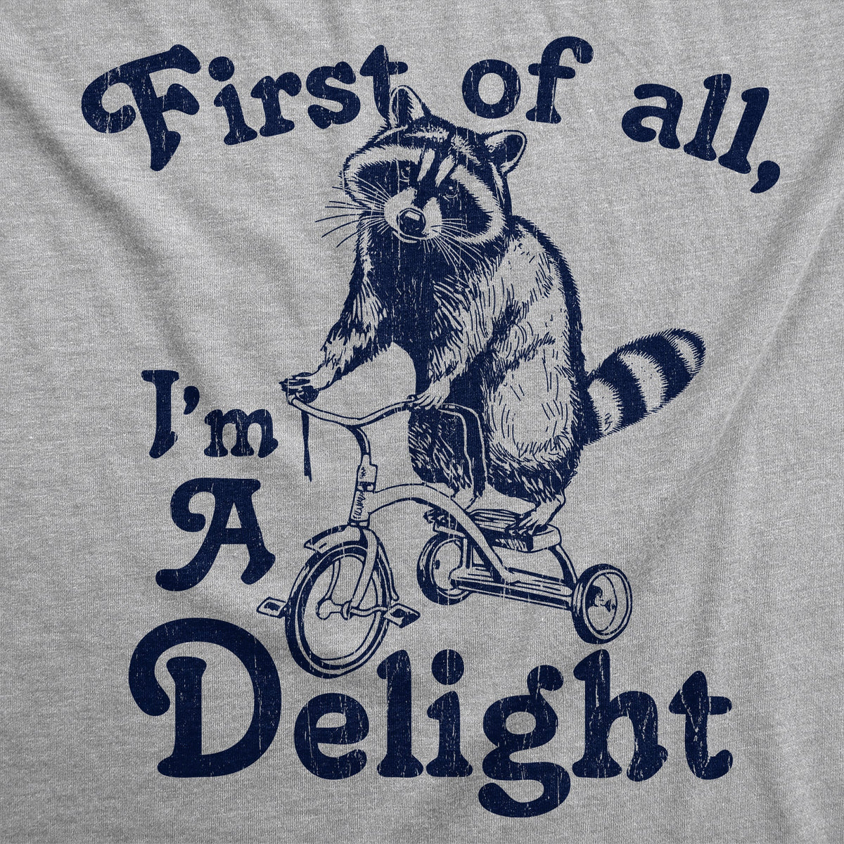 First Of All Im A Delight Women's T Shirt product image 2