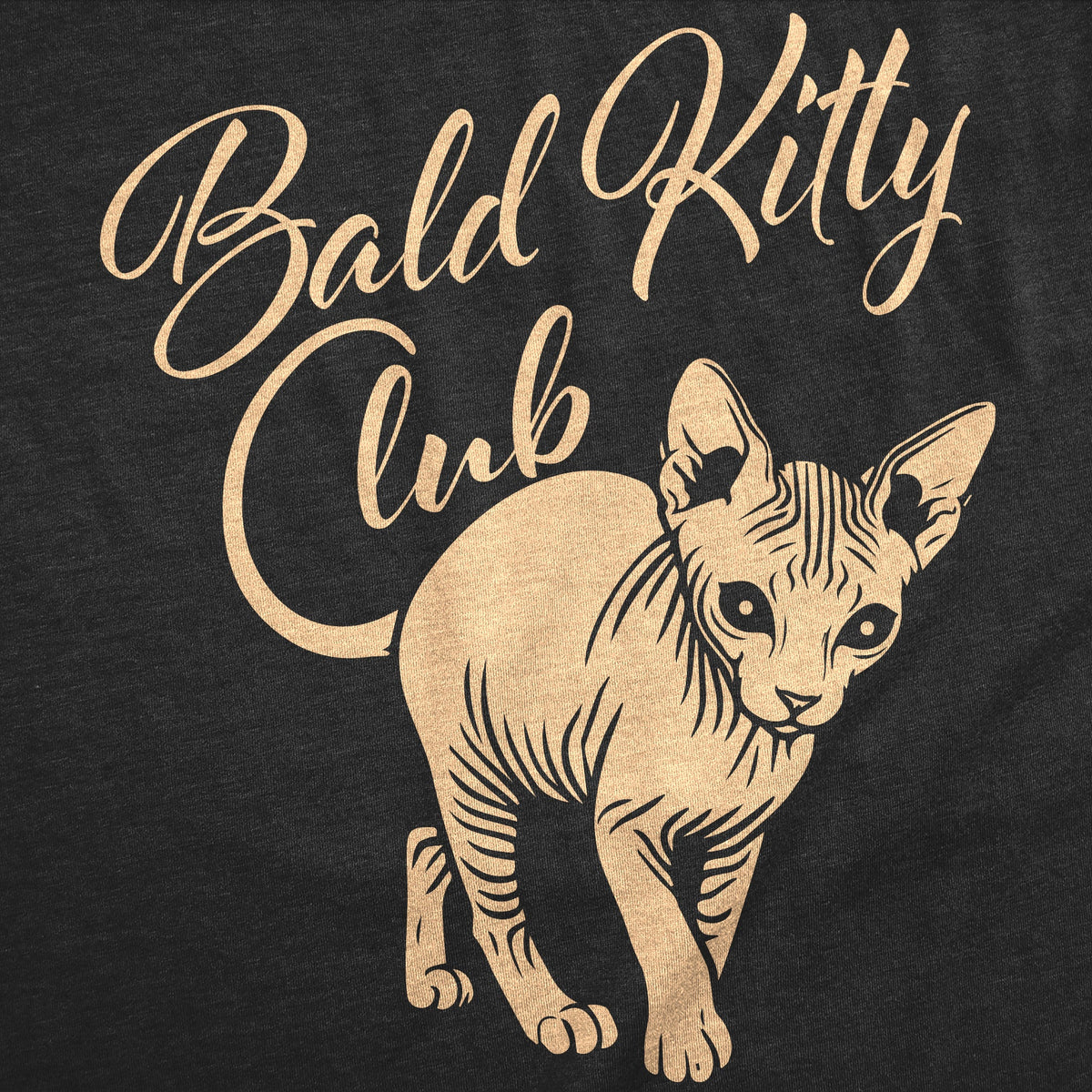 Bald Kitty Club Women's T Shirt product image 2