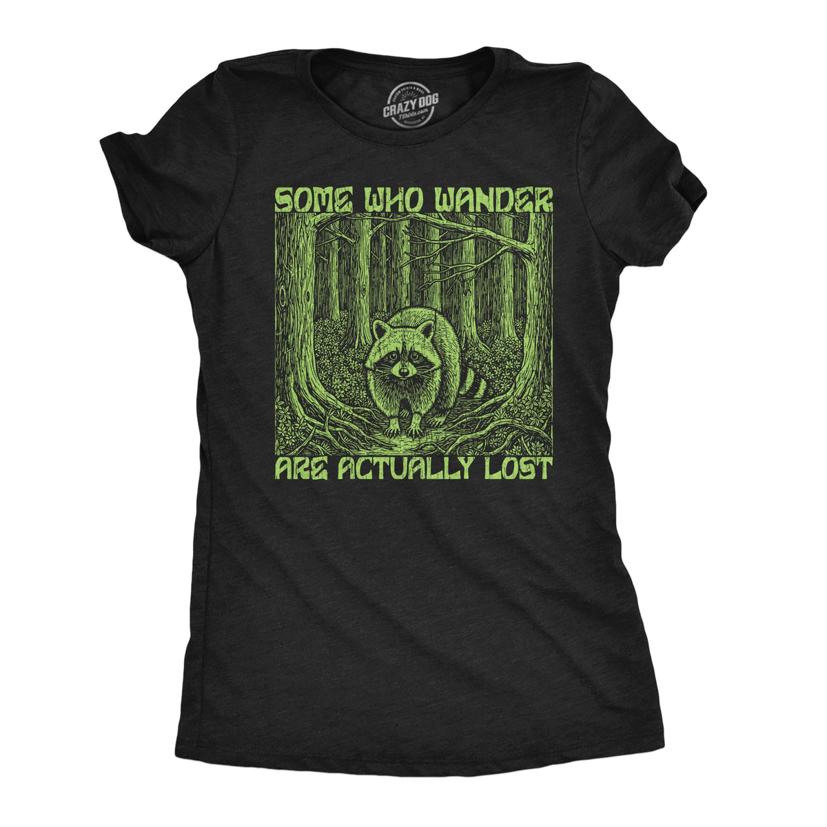 Some Who Wander Are Actually Lost Women's T Shirt product image 1
