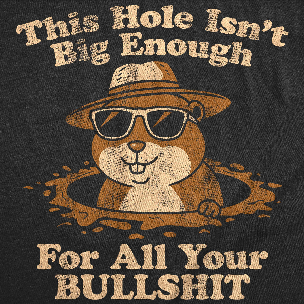 This Hole Isnt Big Enough For All Your Bullshit Men's T product image 3