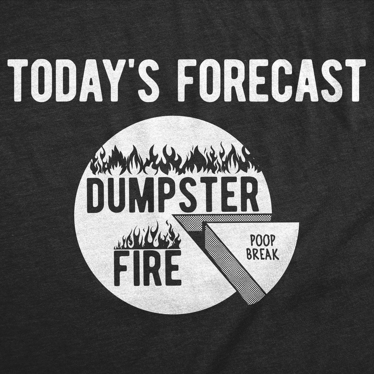 Todays Forecast Dumpster Fire Poop Break Men's T Shirt product image 3