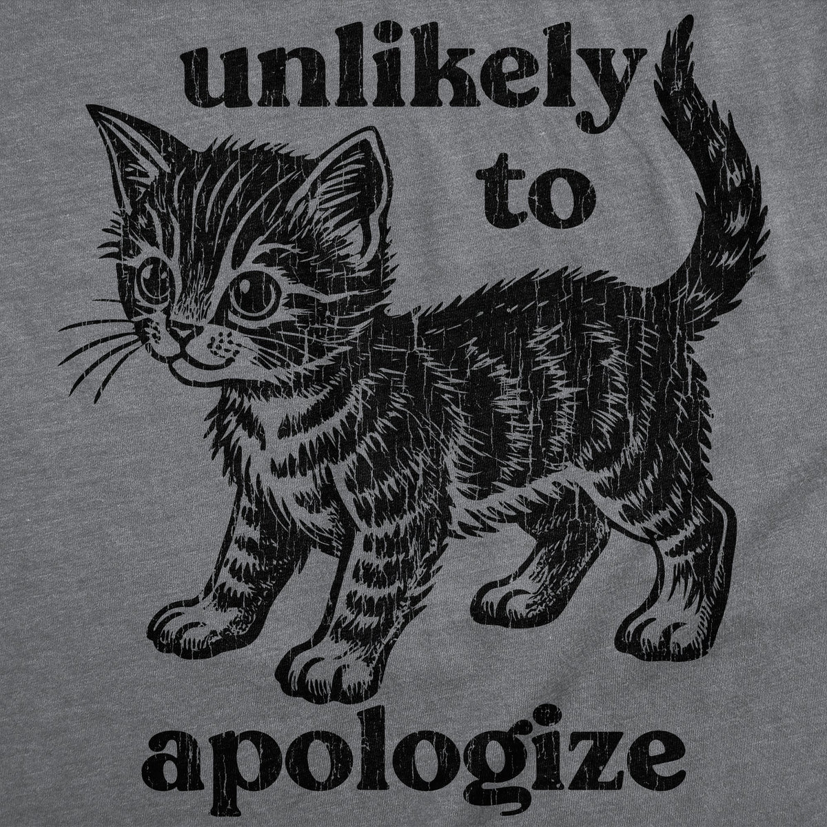 Unlikely To Apologize Men's T Shirt product image 2