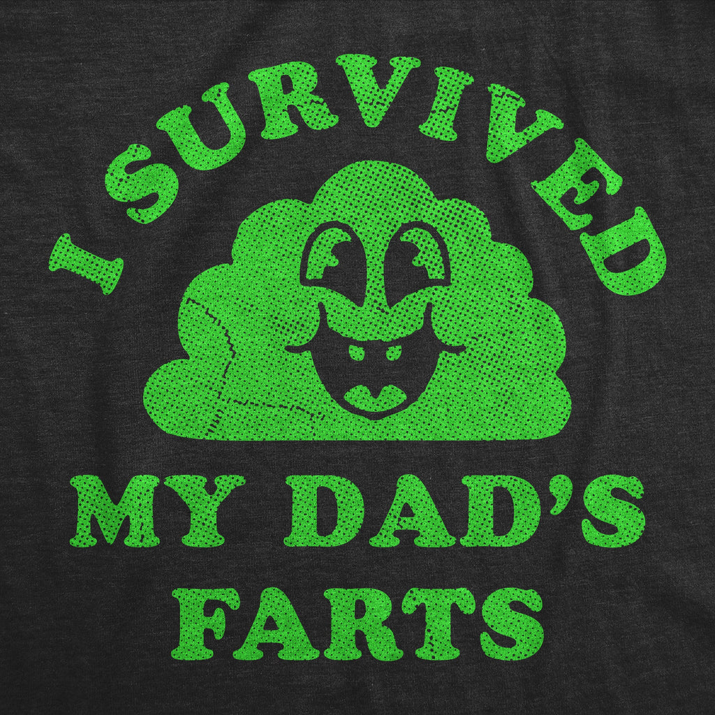 I Survived My Dads Farts Youth T Shirt product image 2