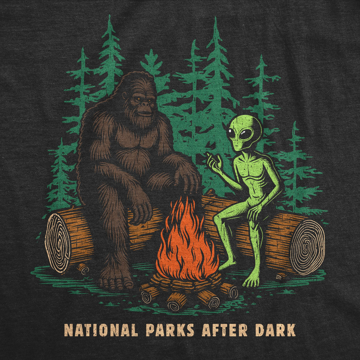 National Parks After Dark Men's T Shirt product image 2