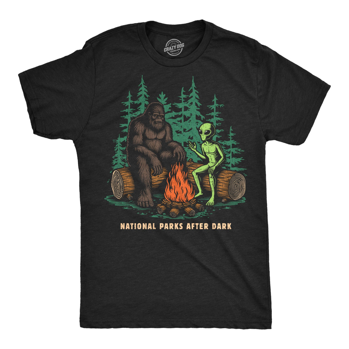 National Parks After Dark Men's T Shirt product image 1