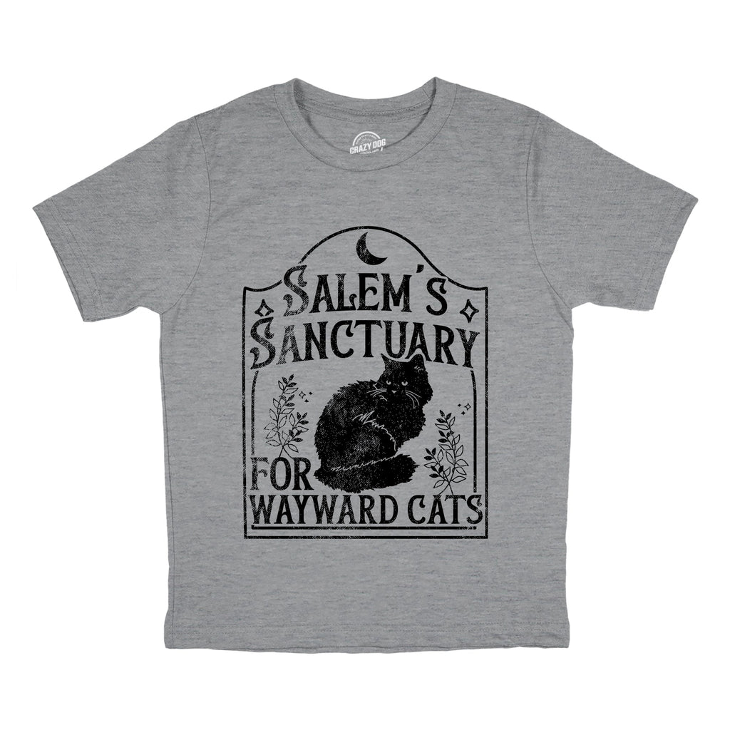Salems Sanctuary for Wayward Cats Youth T Shirt product image 1