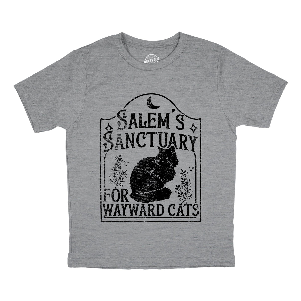 Salems Sanctuary for Wayward Cats Youth T Shirt product image 1