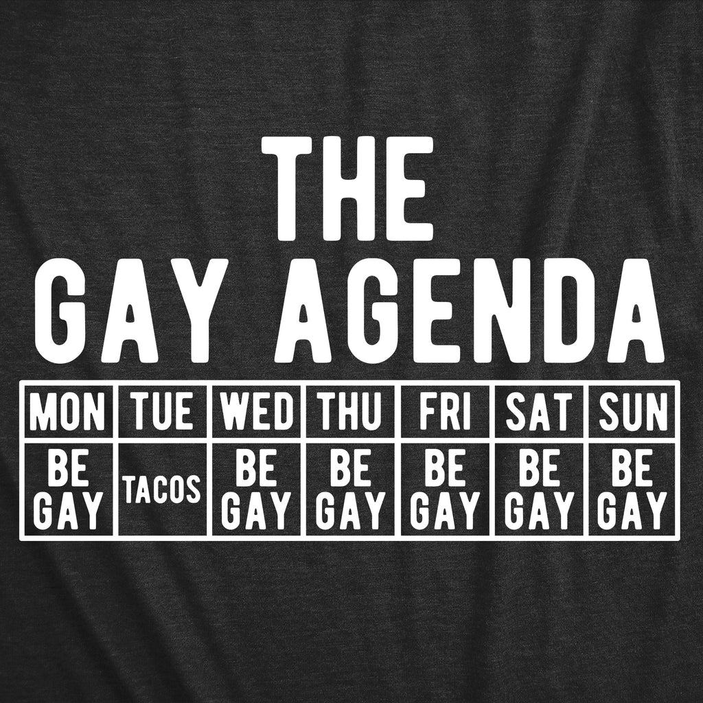 The Gay Agenda Women's T Shirt product image 2