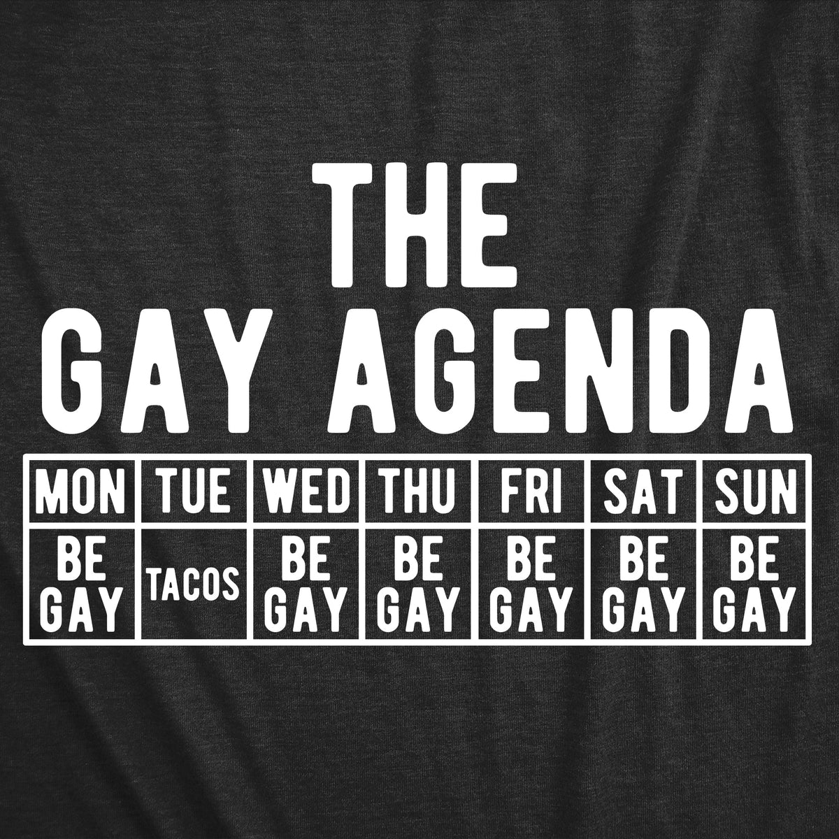 The Gay Agenda Women's T Shirt product image 2