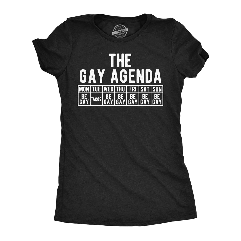 The Gay Agenda Women's T Shirt product image 1
