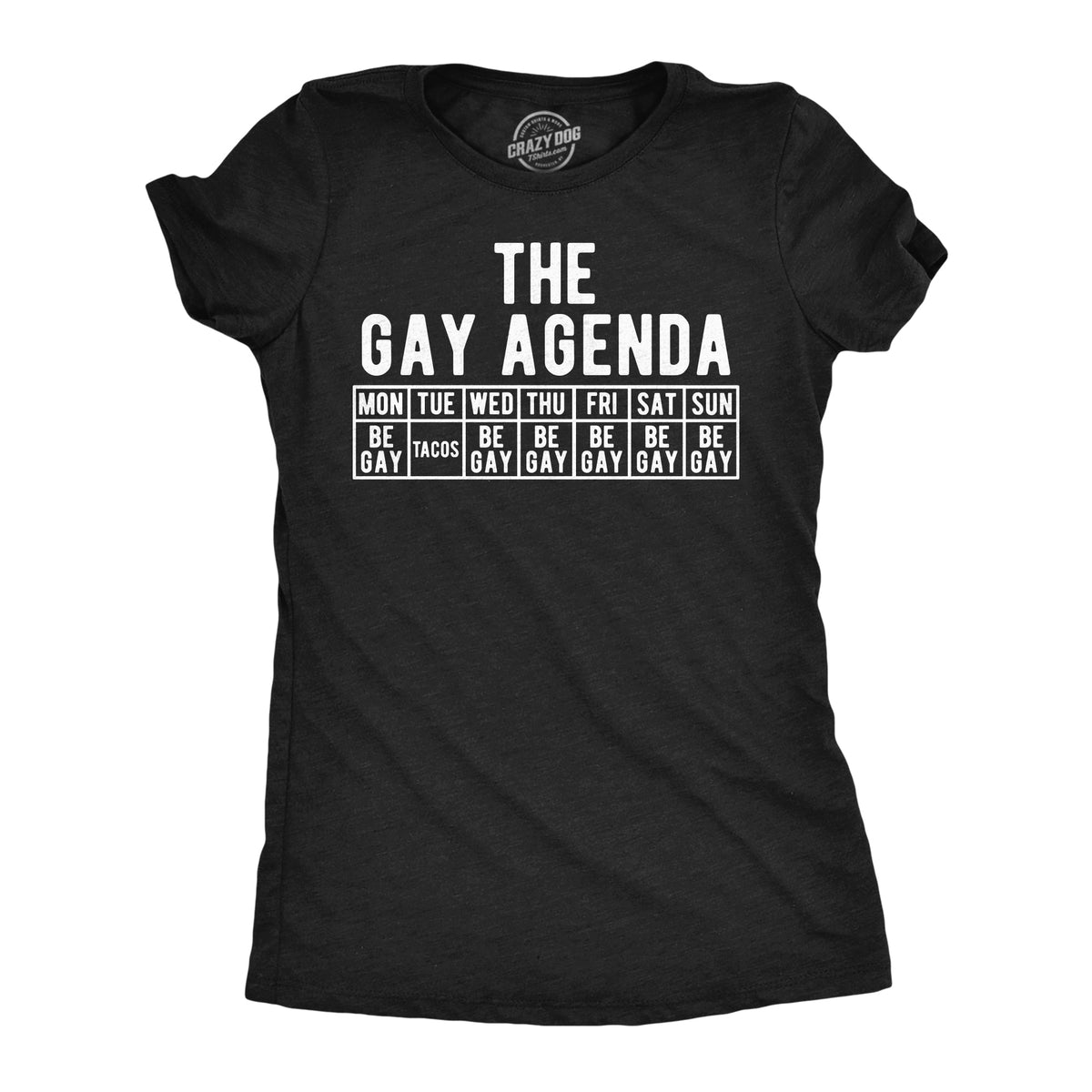 The Gay Agenda Women's T Shirt product image 1