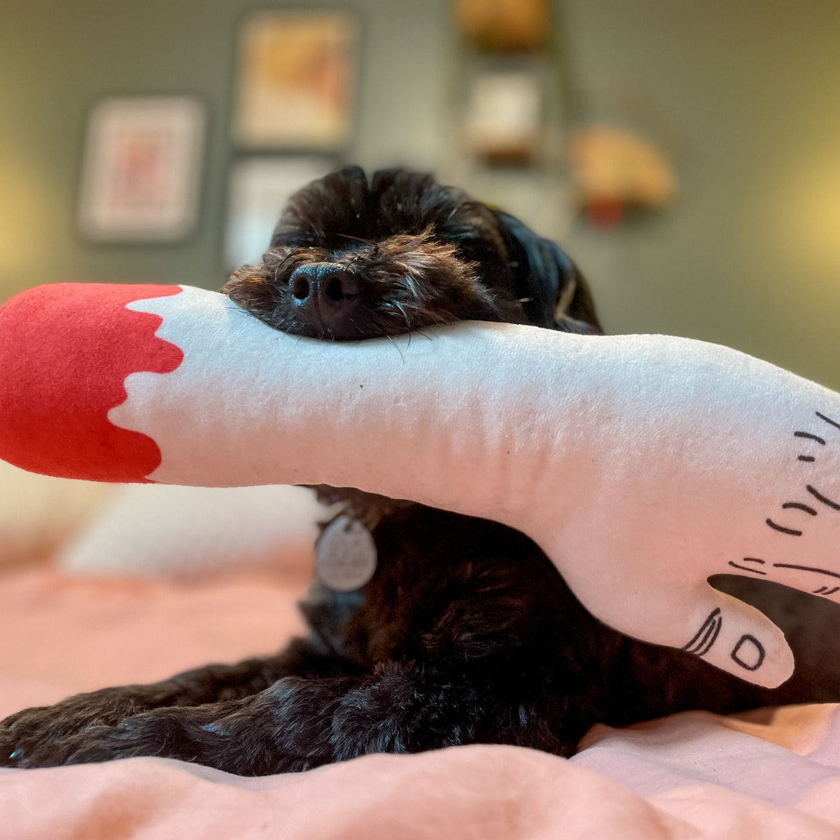Zombie Arm Dog Toy