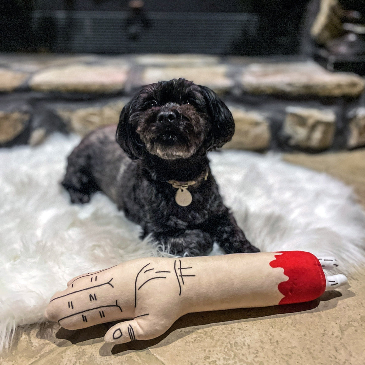 Zombie Arm Dog Toy