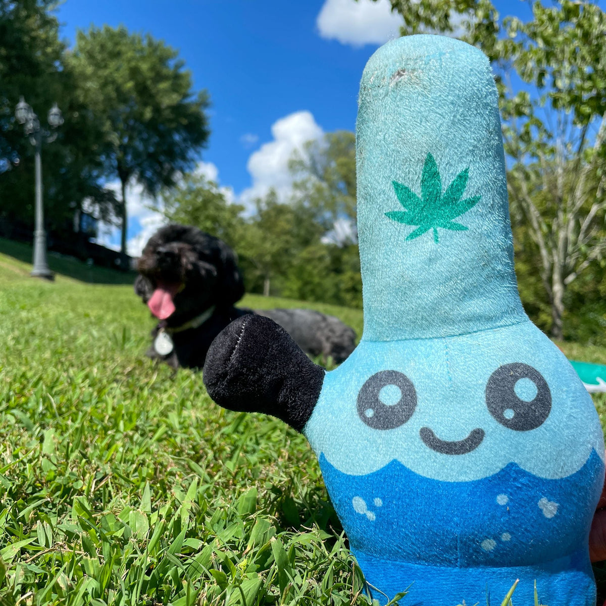 Water Pipe Dog Toy