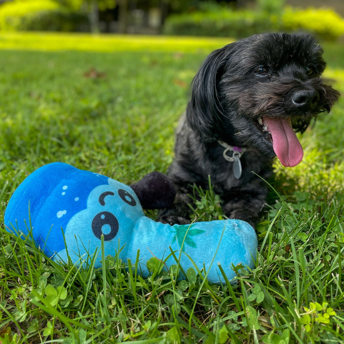 Water Pipe Dog Toy