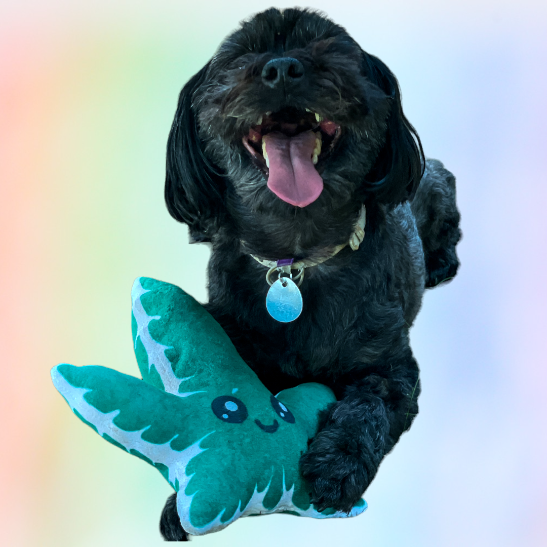 Weed Leaf Dog Toy