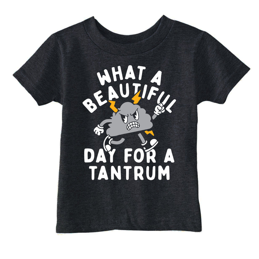 What A Beautiful Day For A Tantrum Toddler T Shirt product image 1