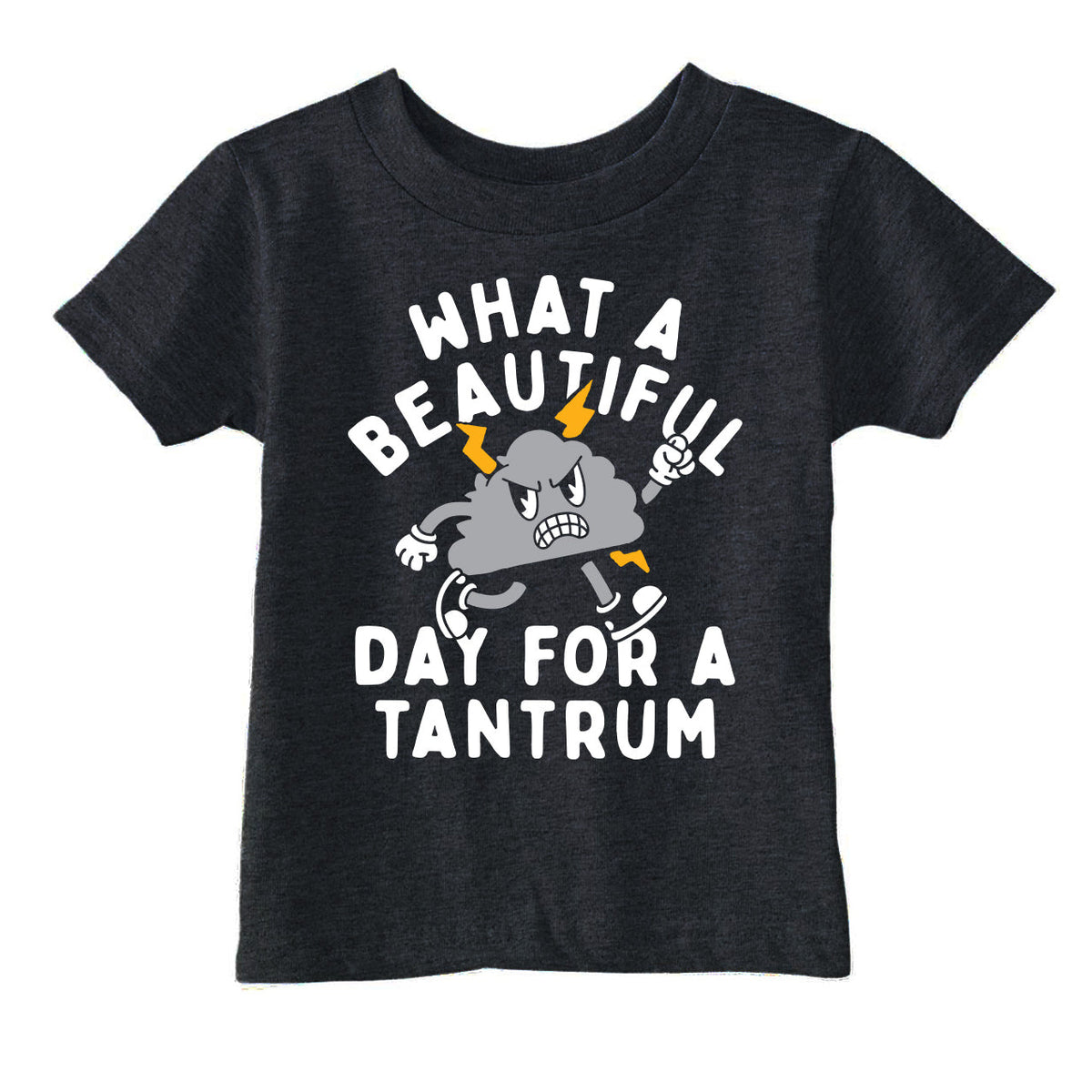 What A Beautiful Day For A Tantrum Toddler T Shirt product image 1